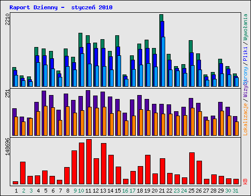 Raport Dzienny -  stycze 2010