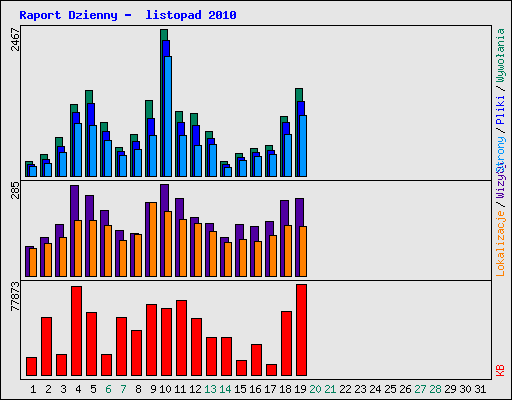 Raport Dzienny -  listopad 2010