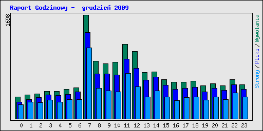 Raport Godzinowy -  grudzie 2009