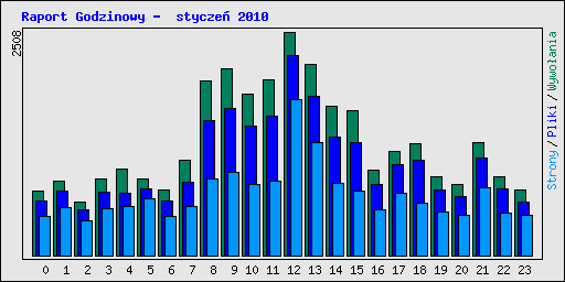 Raport Godzinowy -  stycze 2010