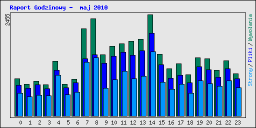 Raport Godzinowy -  maj 2010