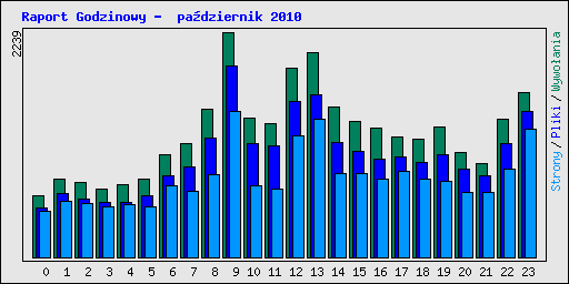 Raport Godzinowy -  padziernik 2010