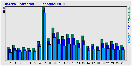 Raport Godzinowy -  listopad 2010